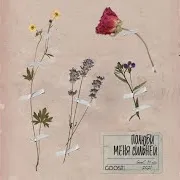 Nikitata — Полюби Меня Сильней